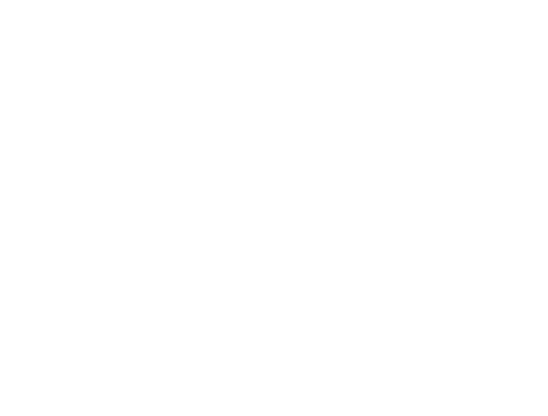 distinctivehumans.co